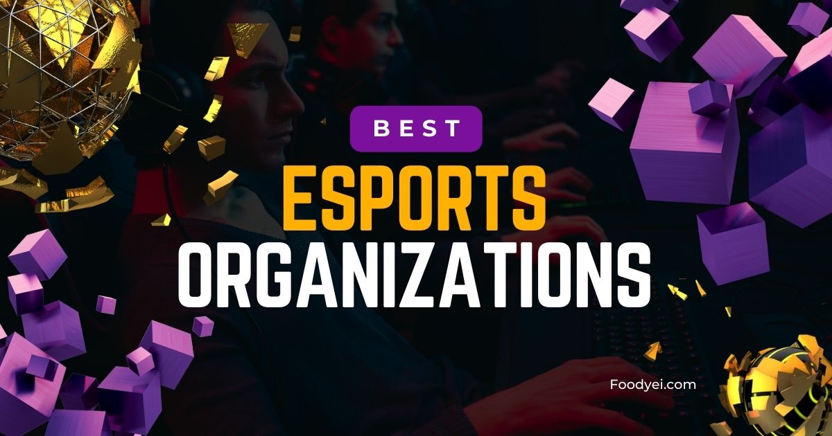 Best Esports Organizations