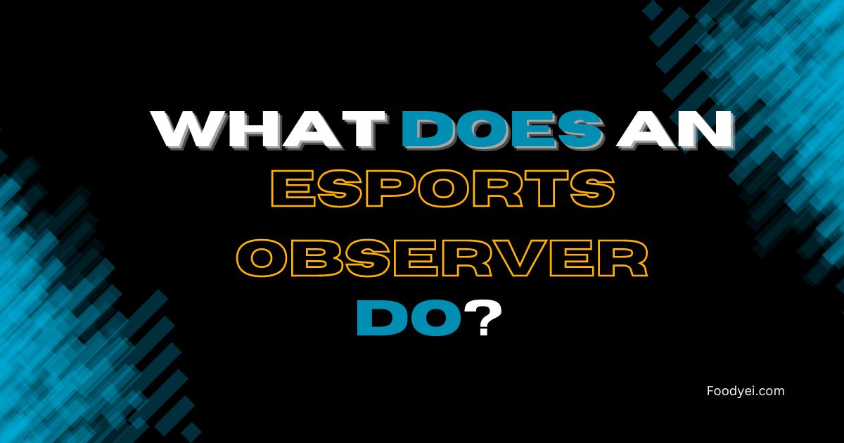 What Does an Esports Observer Do?