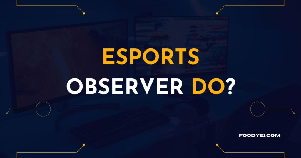 The Role of an Esports Observer