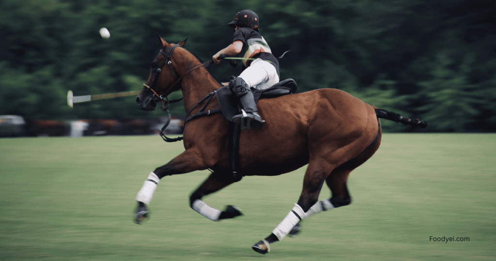 Polo A challenging equestrian sport requiring teamwork and precision on horseback