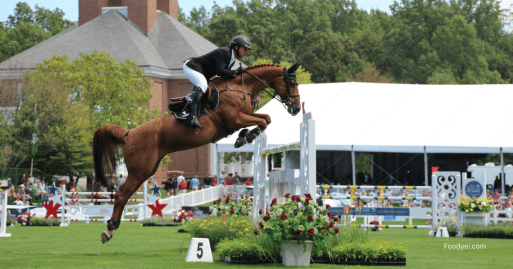 Equestrian sports Difficult horseback riding, including show jumping and dressage